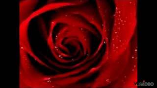 mi chulo- te amo con toda mi alma