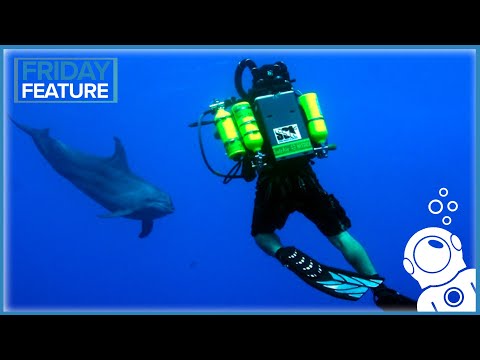 download lagu mp3 mp4 Best Ccr Rebreather, download lagu Best Ccr Rebreather gratis, unduh video klip Best Ccr Rebreather