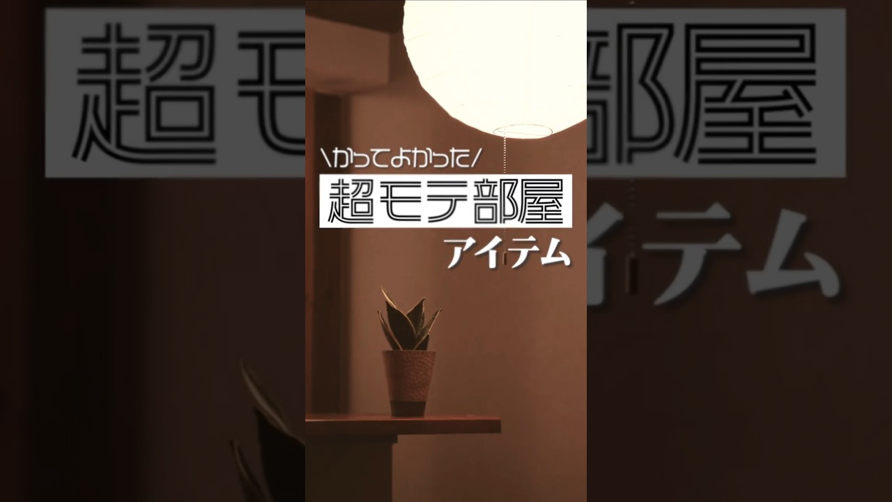 【一般男性】超モテ部屋アイテム