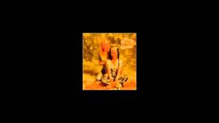 BMX Bandits - It Hasn't Ended