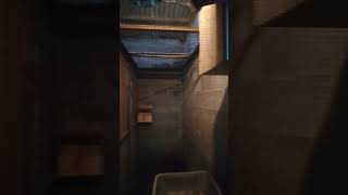 Download lagu murai batu tidur malam mp3