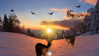 Here Comes Santa Claus - The Countdown Kids