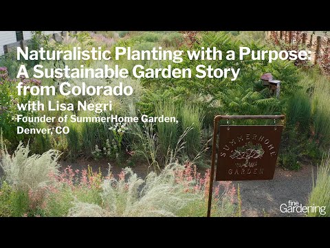 A Sustainable Garden Story: Naturalistic Planting with a Purpose