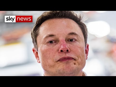 Elon Musk gets sued for calling a diver in Thai rescue a 'pedo guy'