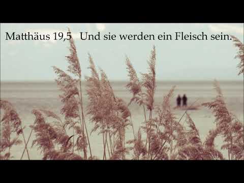 Ulrich Parzany - Matthäus 19,5 und die zwei werden ein Fleisch sein«?