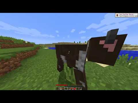 Minecraft Sade Survival