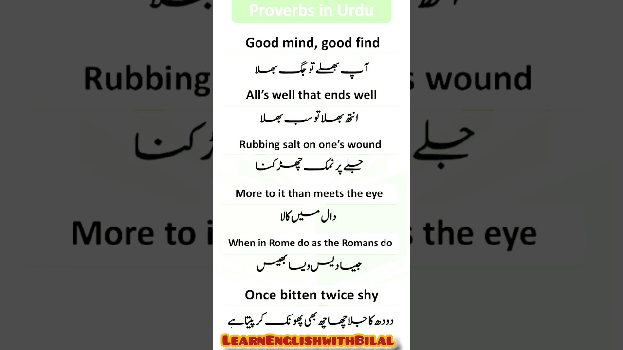 Famous English Proverbs with Urdu Translation | Proverbs in English#english#proverb#famous#learn