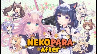 [情報] 貓娘樂園 After 05月23日發售