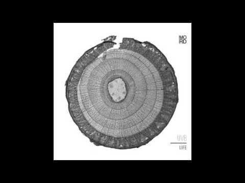 UVB - Focus [MORDLP001]
