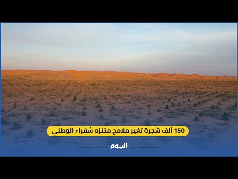 150 ألف شجرة تغير ملامح متنزه شقراء الوطني
