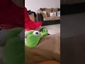 Kermit The Frog Puppet Test