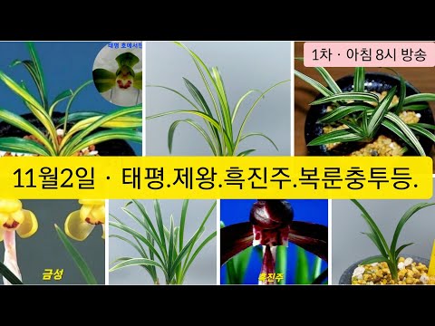 유튜브 썸네일