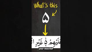 Download lagu What is this symbol? #quran #tajweed #learnquran #learntajweed #arabic101 mp3 Download lagu What is this symbol? #quran #tajweed #learnquran #learntajweed #arabic101 mp3