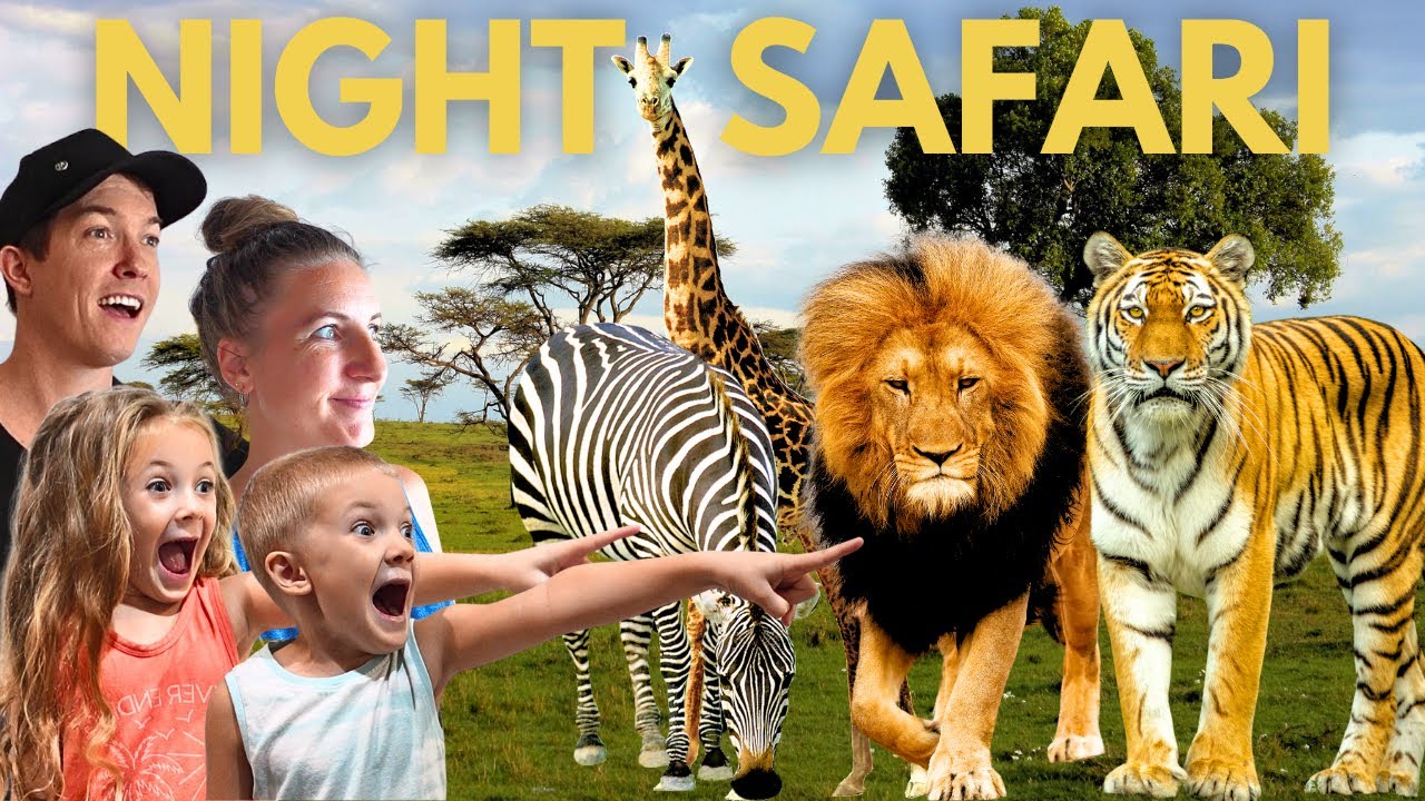 Experience the thrill of exploring Chiang Mai Night Safari, a haven for family visit.