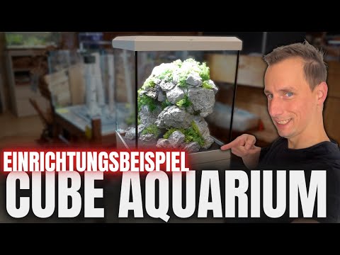 Cube Aquarium Einrichtungsbeispiel - Juwel Vio 54
