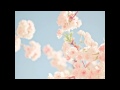 Primavera - The Gift (letra) Primavera - The Gift (letra)