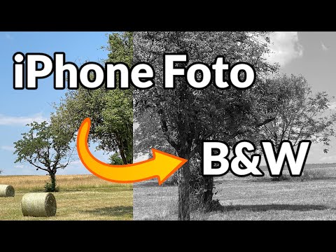 iPhone: Fotos Schwarz-Weiss