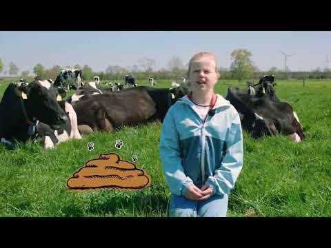 , title : 'Wie viele Kuhfladen macht eine Kuh pro Tag?'