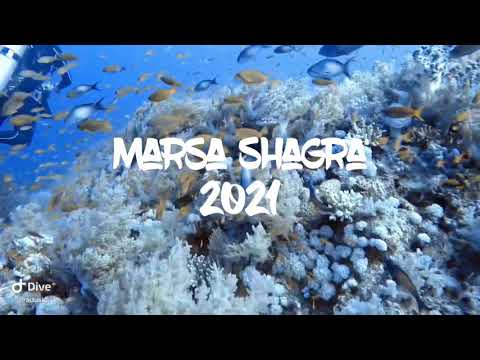 Amazing Marsa Shagra