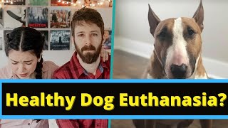 Veterinarian Reacts - Nikki Phillippi Euthanizes Bowser