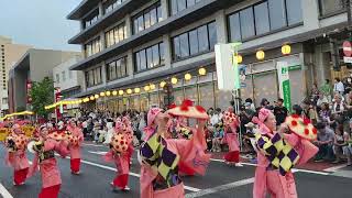 日本東北山形花笠祭，花笠舞遊行：花笠舞踊團。
