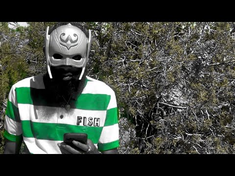 Video thumbnail 4W2zqKH3A0k