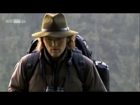 [Doku] Andreas Kieling - Mitten im wilden Deutschland (3) Wildnis Harz [HD]