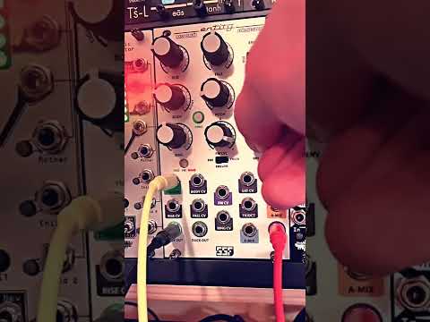 A Lazy Patch Walkthrough : Steady State Fate | Entity