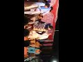 Dancer In Nasirabad Sindh