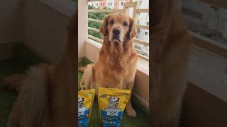 @gooddogindia Trying out Good Dog and loving every bite! 🐾 #gooddogindia #bestdogfood #dogmom
