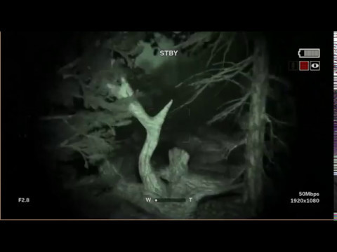 outlast 2 part 8 Cross the lake