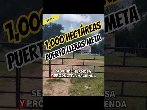 finca en puerto lleras meta 1,000 hectáreas #fincallanosariari #puertollerasmeta #fincaganadera