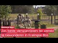 'DEMONSTRATIE voelt als een WEDSTRIJD' | Vierspanner KOOS DE RONDE komt in actie op CHIO ROTTERDAM