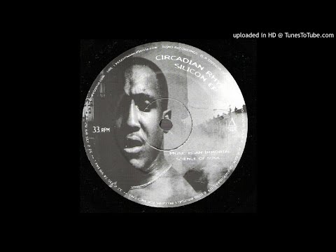 Circadian Rhythms – One Step To Nowhere