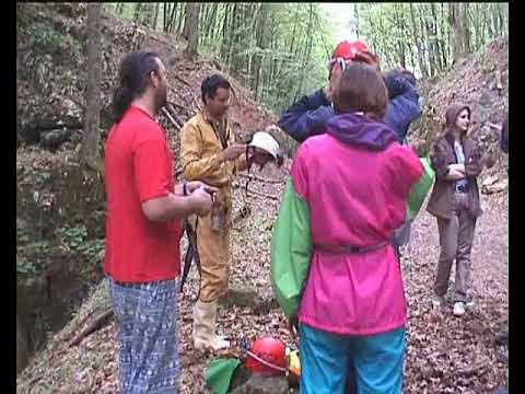 2004 - Tura CZEA & Speowest - Caprioara jud.Arad