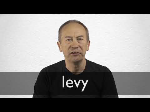 Levy definition and meaning | English Dictionary