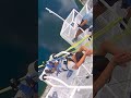 Kid tries to do Canada’s Highest Bungee 😮 #bungeejumping #gatineau #ottawa #adrenaline #canada