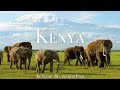 Kenya Masai Mara 4K Scenic Wildlife Film With African Music