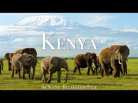 Kenya & Masai Mara 4K – Scenic Wildlife Film With African Music