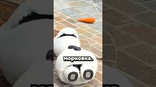 Олаааааф... неееееееееет