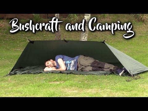 YouTube video about Unveiling the Hidden Benefits of TARP