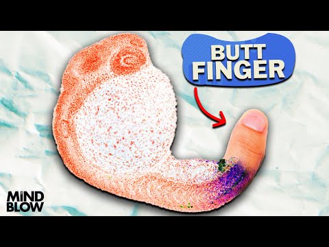 Your Fingers Are Fish Butts? -- Mind Blow #148