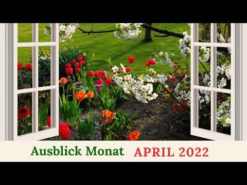 🌺💖Monatsorakel April 2022 💖🌺