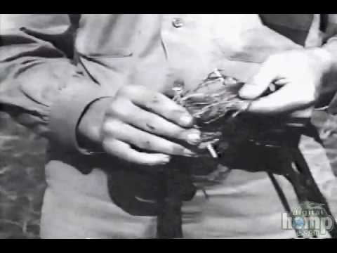 Hemp for Victory WWII "Grow Hemp" USDA 1942 Film