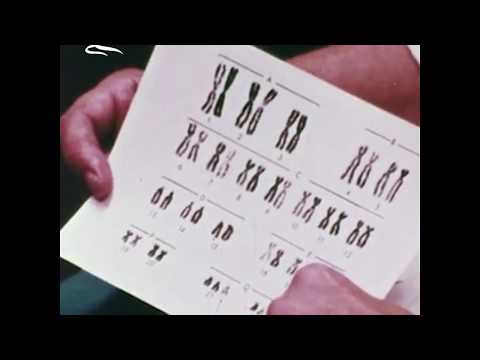 What is Aging? - Genomic Instability