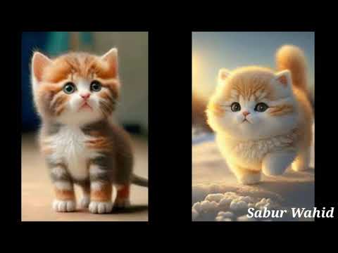 Cute Cat Beautiful,WhatsApp Status,😜 #shorts #youtubeshorts #ytshorts #viral #youtube #video #short