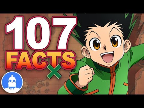 107 Hunter x Hunter Anime Facts YOU Should Know! - Anime Facts (107 Anime Facts S2 E4)