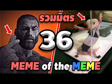 รวมมิตร ภาพนี้ก็ฮาเหมือนกันนะเนี้ย #36 [ พากย์นรก MEME.EXE ] | easy boy