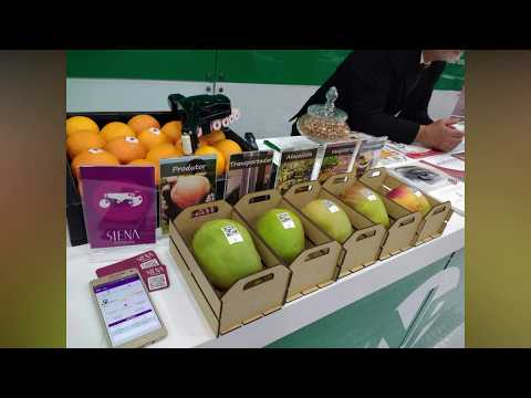 Sistema de rastreabilidade e monitoramento do grau de amadurecimento de frutos