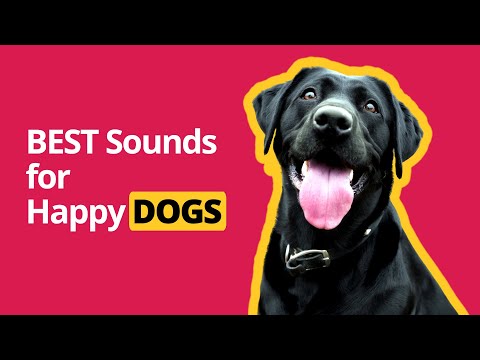 BEST Sounds for Happy Dogs 🎵🐶